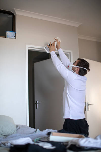 Aliceville, AL Mold Removal Company