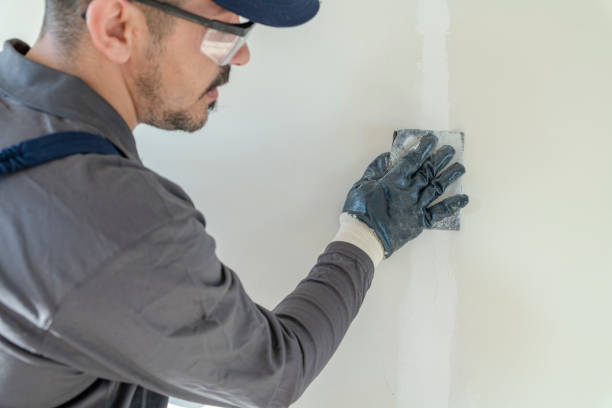 Best Emergency Mold Remediation  in Iceville, AL