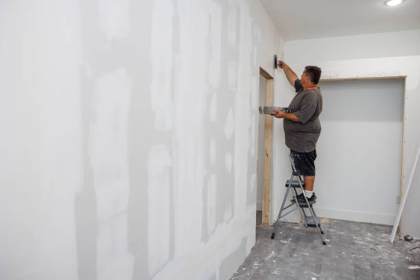 Best Mold Damage Restoration  in Iceville, AL
