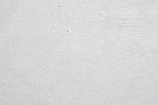 Best Mold Prevention Services  in Iceville, AL