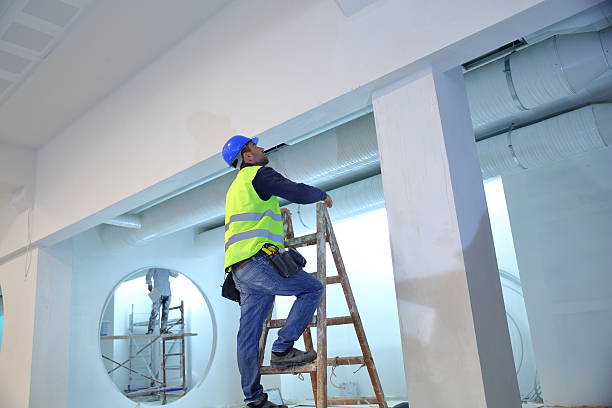 Best Basement Mold Removal  in Iceville, AL